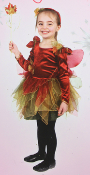 Осенний костюм Феи