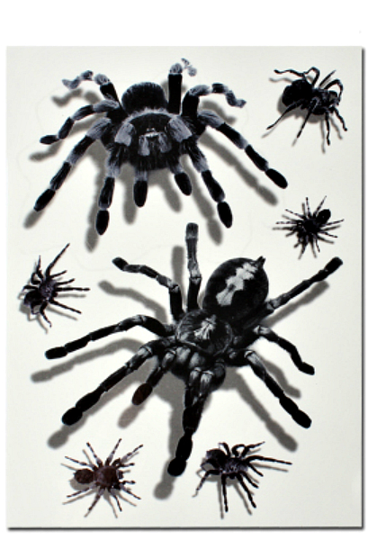 Татуировки переводные с пауками